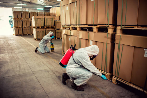Best Best Pest Control Companies  in Orleans, IN