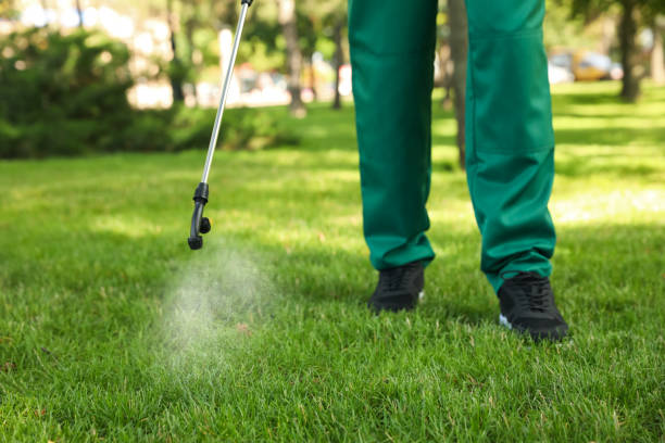 Best Mosquito Control Services  in Orleans, IN