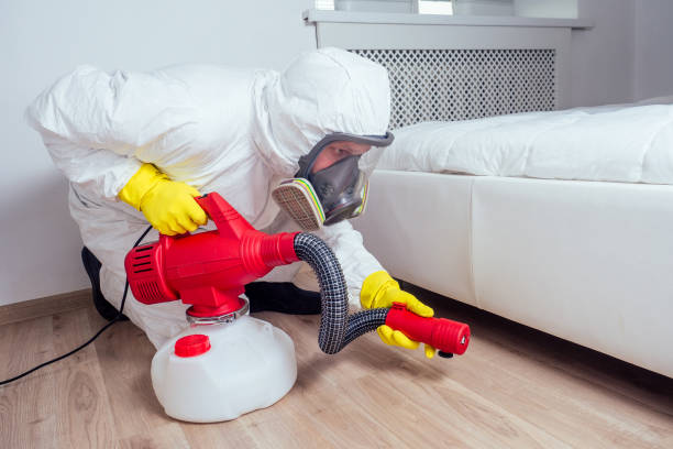 Best Pest Control for Homes  in Orleans, IN