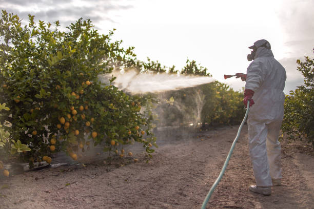 Best Best Pest Control Companies  in Orleans, IN