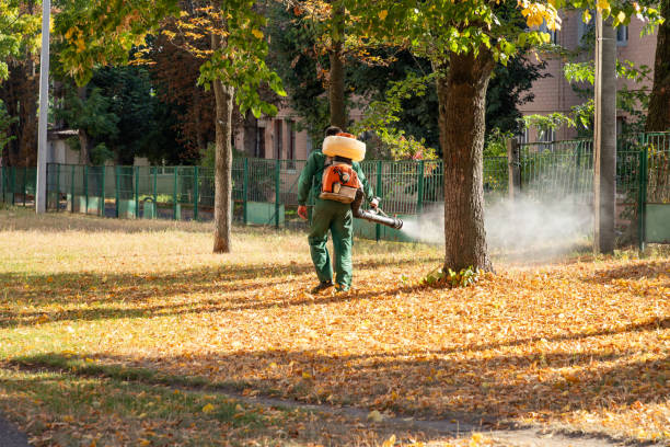 Best Flea Control Services  in Orleans, IN