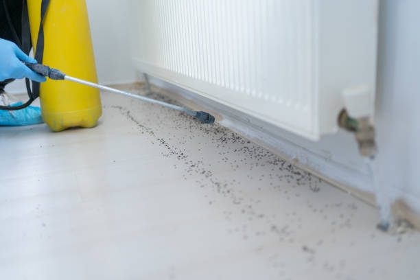 Best Commercial Pest Control Services  in Orleans, IN