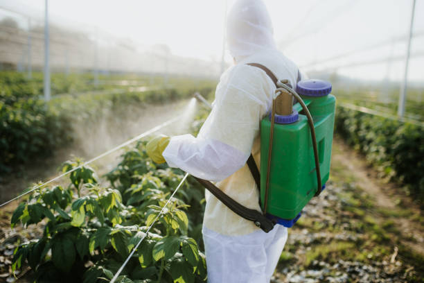 Best Pest Inspection Near Me  in Orleans, IN